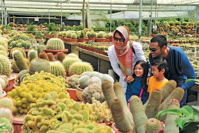 Private Nature Trip to Cameron Highlands from Kuala Lumpur - Waterfalls and forest at Lata Iskandar