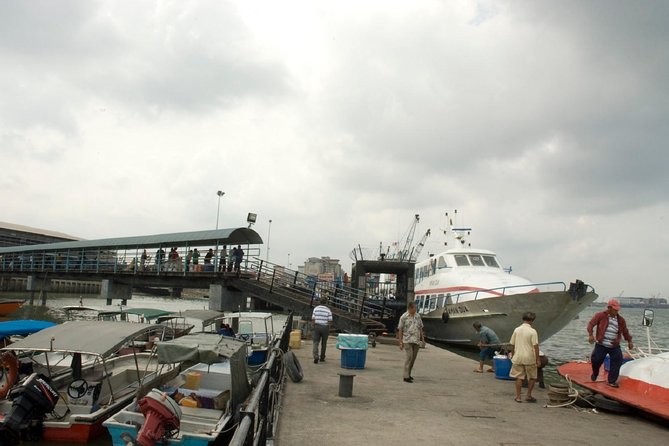 Private Tour: Crab Island Sightseeing Boat Ride and Seafood Lunch - Why Pulau Ketam is the real reason to book