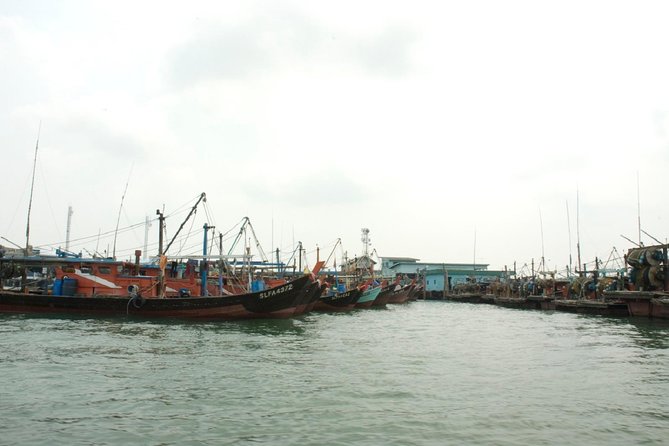 Private Tour: Crab Island Sightseeing Boat Ride and Seafood Lunch - Who will enjoy this day most