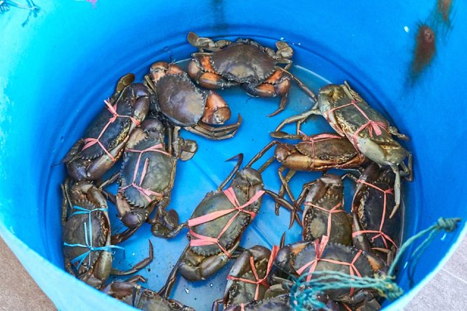 Private Tour: Crab Island Sightseeing Boat Ride and Seafood Lunch - Should you book the Crab Island tour?