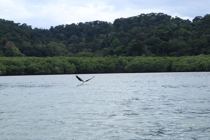 Private Tour: Southern Island Geopark Tour from Langkawi - Timing, jetty details, and the pickup question