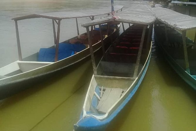Private Transfer to Taman Negara from Kuala Lumpur - Four hours of road time to Kuala Tahan