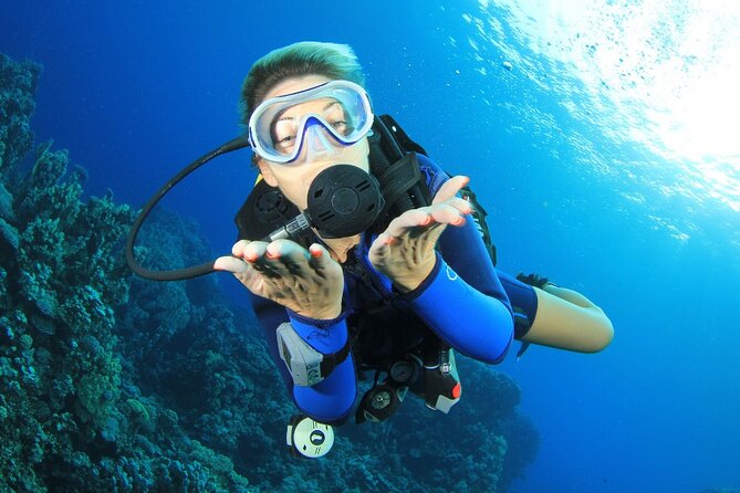 RAID Try-Dive Experience in Kota Kinabalu - Learning the equipment before entering the water
