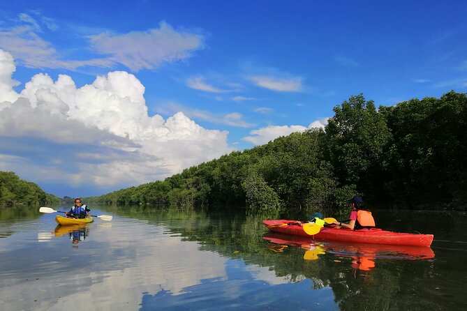 River Exploration and Mangrove Nature Tour by kayaking - Key points before you paddle