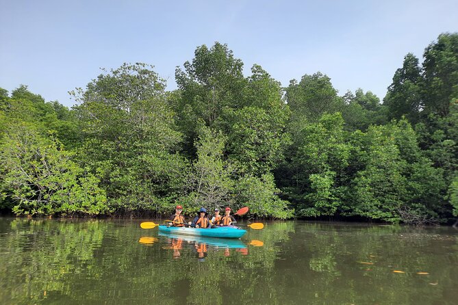 River Exploration and Mangrove Nature Tour by kayaking - A quiet side of Kuala Lumpur near Sepang