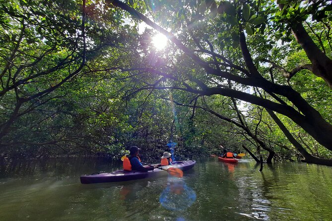 River Exploration and Mangrove Nature Tour by kayaking - Following the tide through the mangroves
