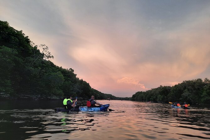 River Exploration and Mangrove Nature Tour by kayaking - How much value do you get for $83.41?