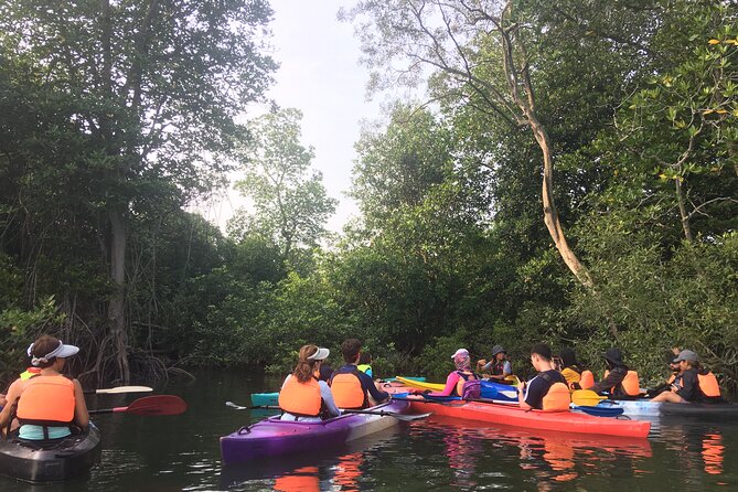 River Exploration and Mangrove Nature Tour by kayaking - Arriving at Jeti Kampung Tanjung Mas Batu Dua