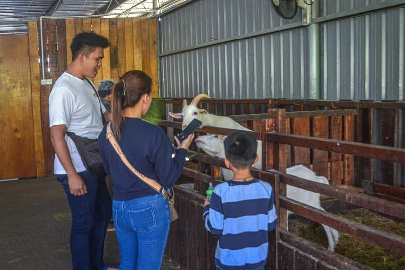 Sabah: Kinabalu Park, Poring Hot Springs & Desa Farm Tour - How to prepare for the 11-hour outing