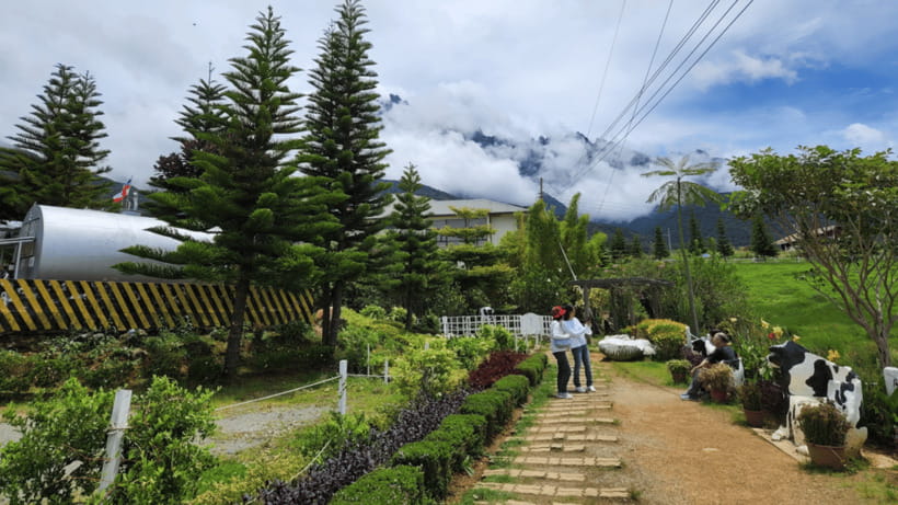 Sabah: Kundasang Nature Day Tour - Poring Hot Spring and the choice of outdoor or indoor bathing