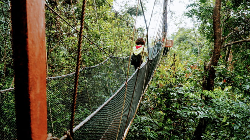Sabah: Kundasang Nature Day Tour - What the private guide service is really like