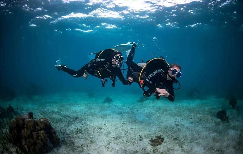 Sabah : Mamutik & Sapi Island Excursion Ticket - Mamutik Island: your morning beside the reef