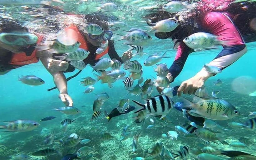 Sabah: Mantanani Island Day Tour with Lunch - Five Hours Around Mantanani Island