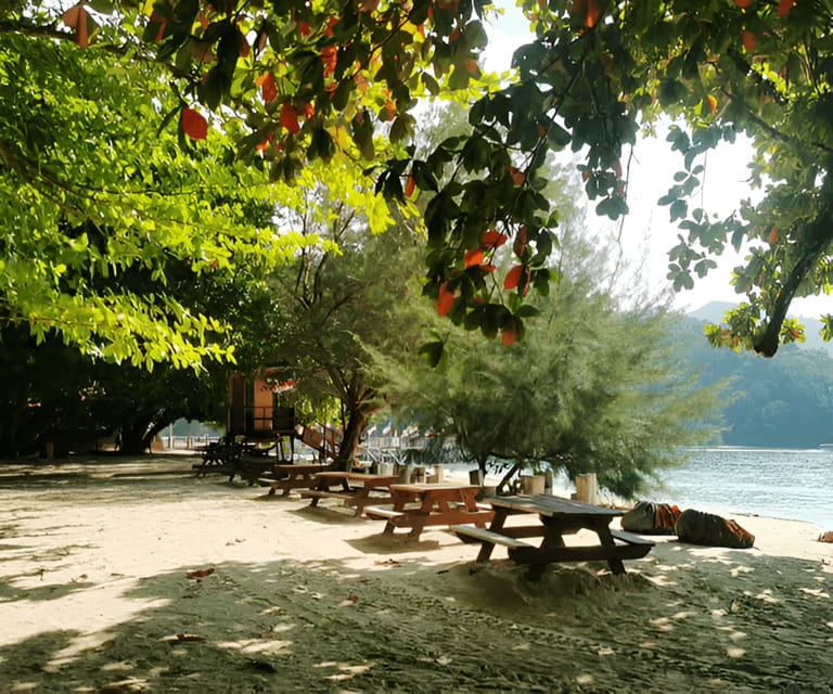 Sabah: Manukan and Sapi Islands Excursion Ticket - Sapi Island: snorkeling, swimming, and paid thrills