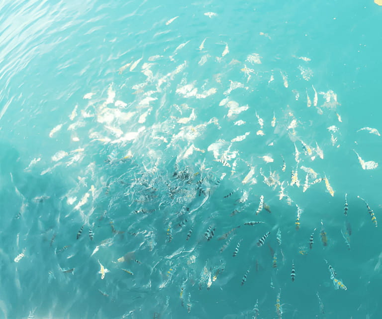 Sabah: Manukan and Sapi Islands Excursion Ticket - What the $63 price really covers