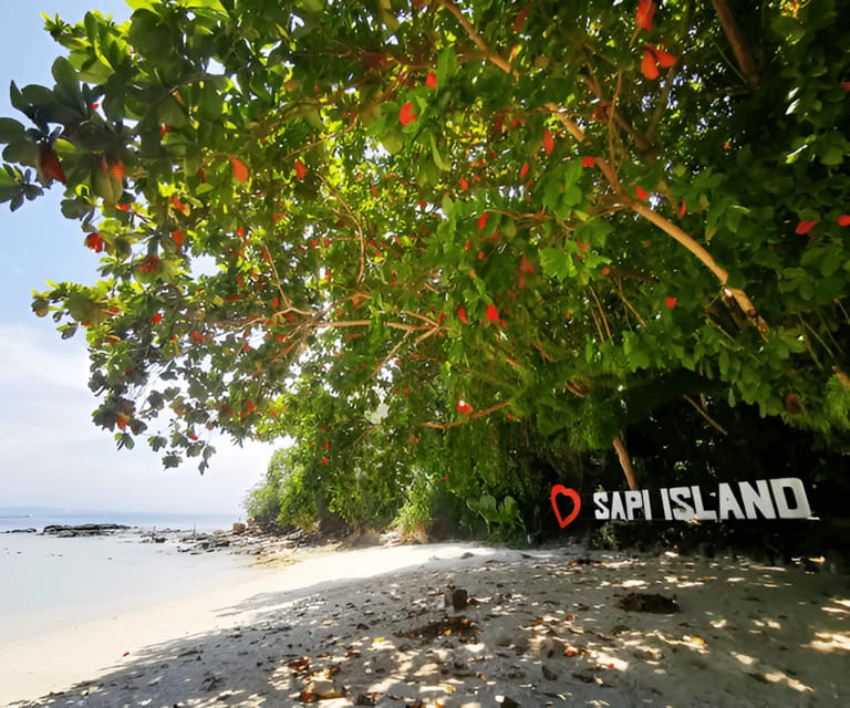 Sabah: Manukan and Sapi Islands Excursion Ticket - Who will enjoy this island trip most