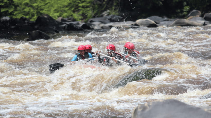 Sabah: White Water Rafting Grade 3-4 at Padas River - Who should book the Padas River rafting trip?
