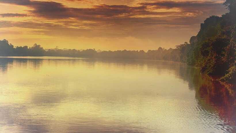 Sandakan: 2 Days 1 Night Bilit, Kinabatangan River Wildlife - Dinner, night activities, and the overnight stay