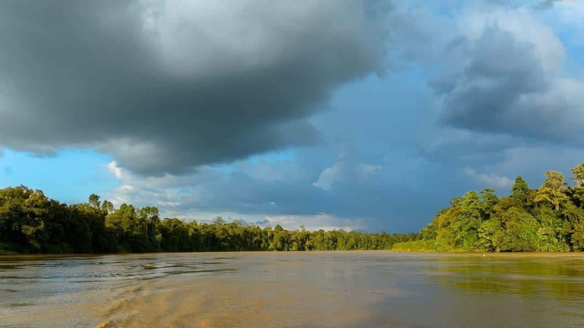 Sandakan: 2 Days 1 Night Bilit, Kinabatangan River Wildlife - The sunrise cruise and breakfast