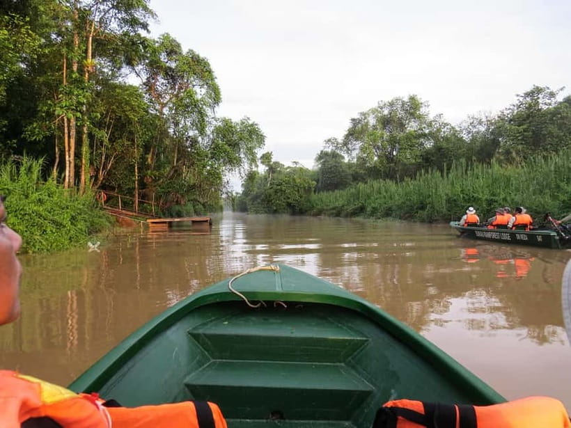 Sandakan: 3D2N The Wild Heart of Borneo River Secrets - Why the Kinabatangan is worth three days