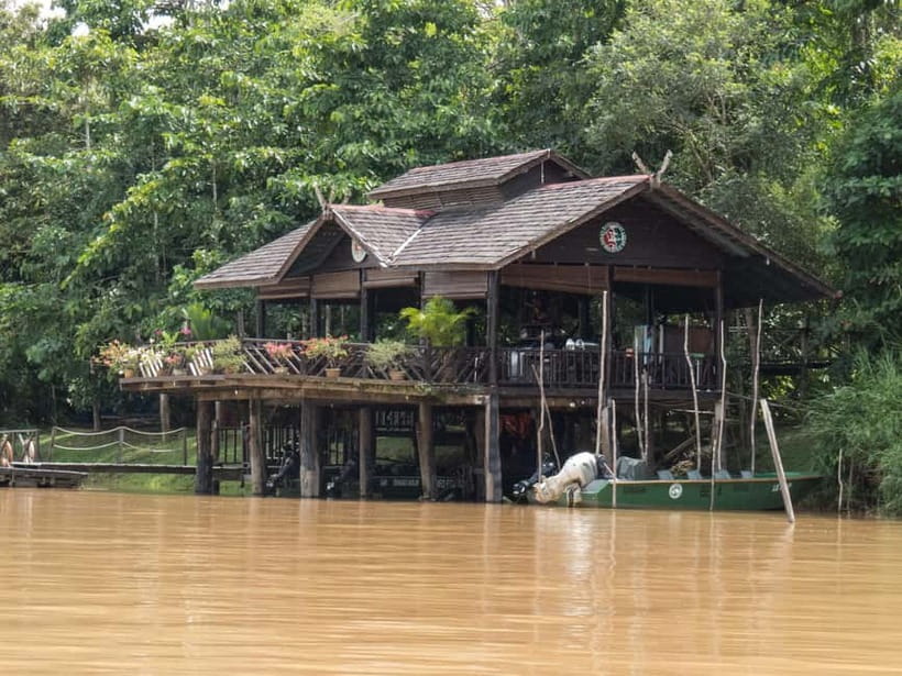 Sandakan: 3D2N The Wild Heart of Borneo River Secrets - Arrival at the river lodge