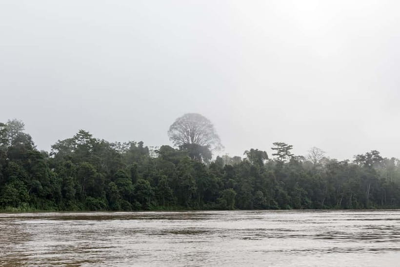 Sandakan: 3D2N The Wild Heart of Borneo River Secrets - What $316 really buys you