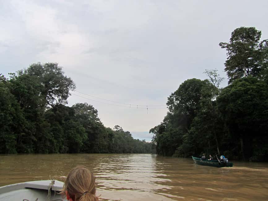 Sandakan: Gomantong Cave Echoes & Kinabatangan River Safari - The old craft of edible bird nests