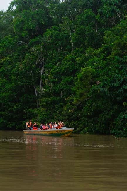 Sandakan: Kinabatangan River Wildlife Cruise with Lunch - Key points to know before booking