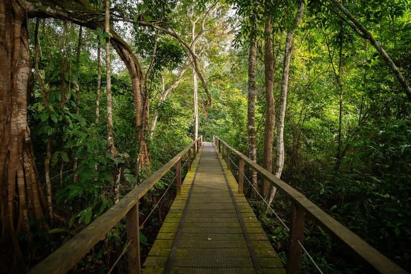 Sandakan: Kinabatangan River Wildlife Cruise with Lunch - Arrival at Bilit and local tea