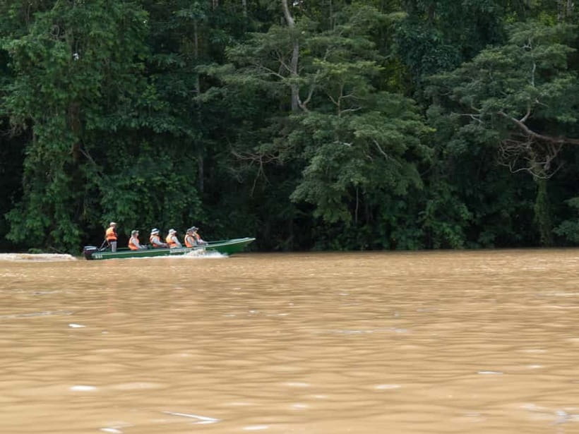 Sandakan: Sukau Rainforest Wildlife Journey & Dawn Cruises - Key points to know before booking