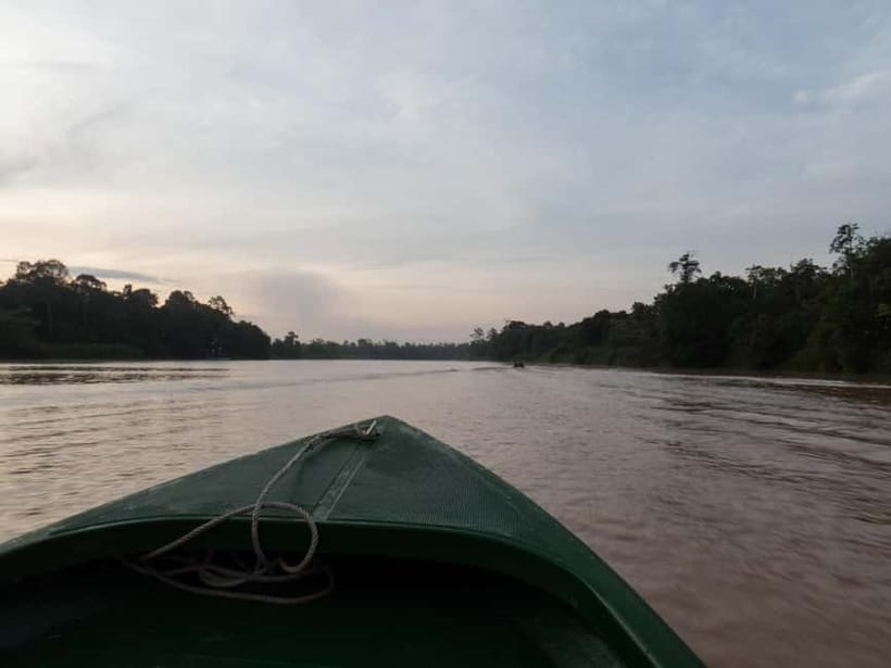 Sandakan: Sukau Rainforest Wildlife Journey & Dawn Cruises - What happens on the day visit