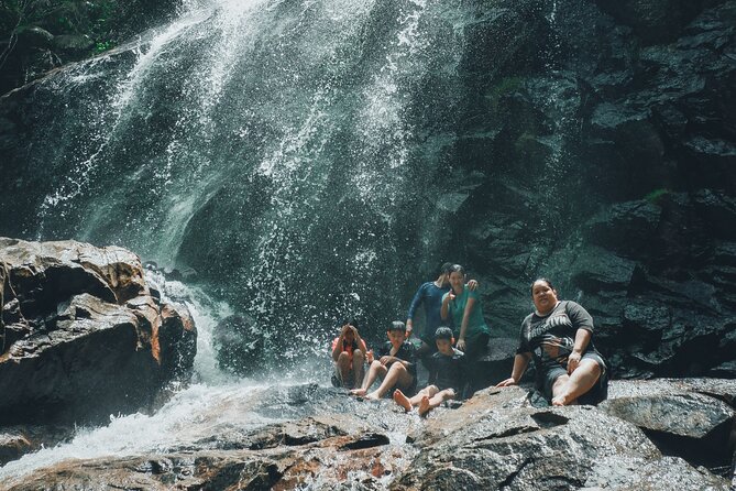 Secluded Waterfall Adventure - The 45-minute walk through the forest