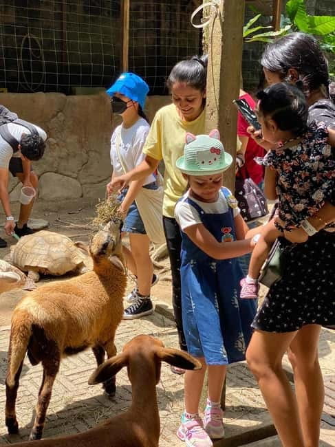 Selangor: Farm In The City Entry Ticket - A kampung visit without leaving Selangor