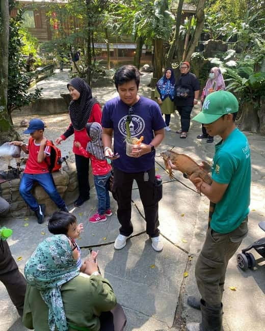 Selangor: Farm In The City Entry Ticket - Timing your visit around opening hours