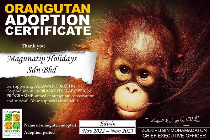 Semenggoh Orangutan Centre from Kuching - Why Semenggoh feels different from a standard animal park