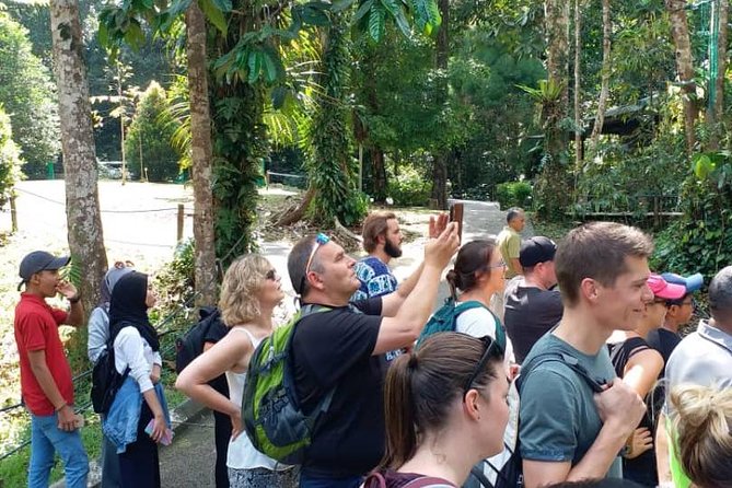 Semenggoh Orangutan Centre from Kuching - Walking into the rainforest