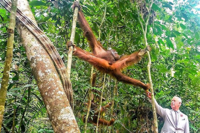 Semenggoh Wildlife Centre Tour: Discover Sarawak’s Orangutans - The ride from Kuching to the forest