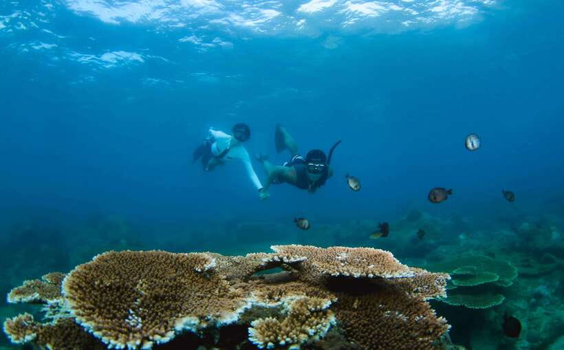 Semporna: Explore 3 Islands Tour Snorkel or Dive & Lunch - Learning the basics before getting in