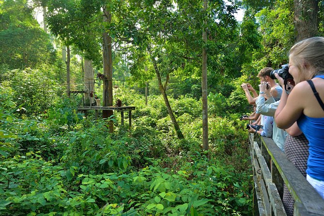 Sepilok Orang Utan & Bornean Sun Bear Centre with Sandakan City Tour with Lunch - Two hours at Sepilok Orangutan Rehabilitation Centre
