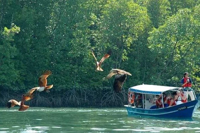 Sharing Half Day Kilim Geoforest Park Mangrove Boat Tour - The floating fish farm and lunch