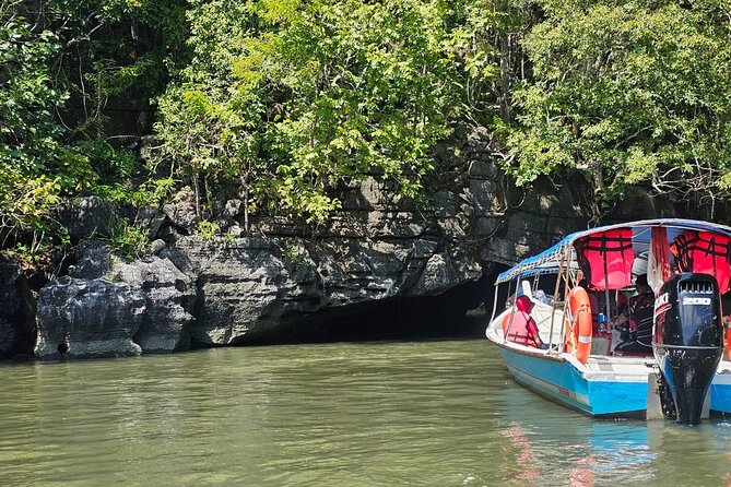 Sharing Half Day Mangrove Boat Tour With Lunch in Langkawi - Key things to know before booking
