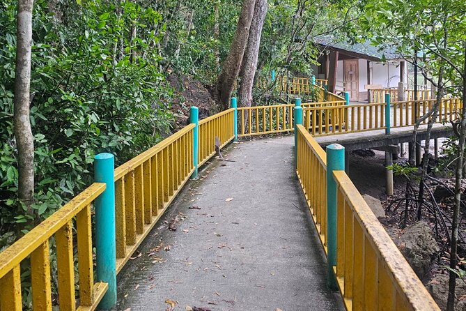 Sharing Half Day Mangrove Boat Tour With Lunch in Langkawi - Fish farm lunch and what you will actually eat