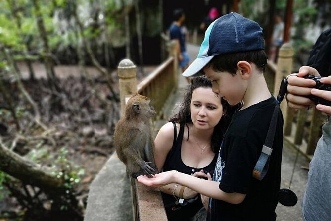 Sharing Half Day Mangrove Boat Tour With Lunch in Langkawi - Monkeys, limestone cliffs, and the first close look at the forest