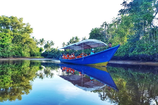 Sky-Mirror Photographing and Proboscis Monkey & Fireflies Watching River-Cruise - From Kota Kinabalu to Bongawan by Minibus