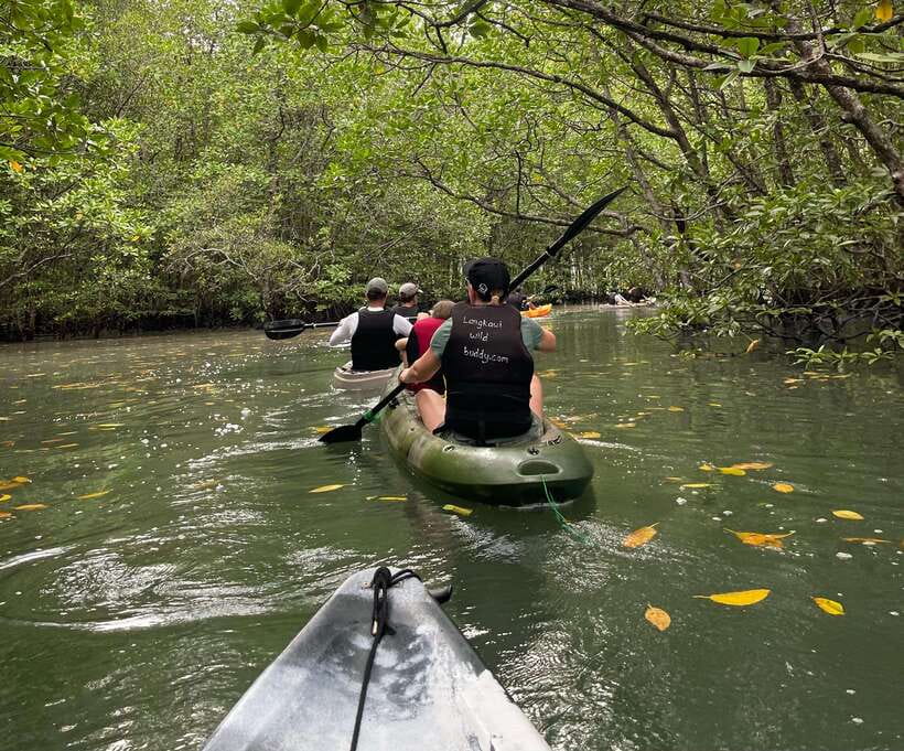 Small Group, Big Heart: Kilim Karst Mangrove Kayak Adventure - Macaques, leaf monkeys, eagles, and kites