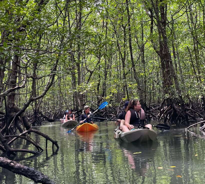Small Group, Big Heart: Kilim Karst Mangrove Kayak Adventure - What $69 covers, and what it does not