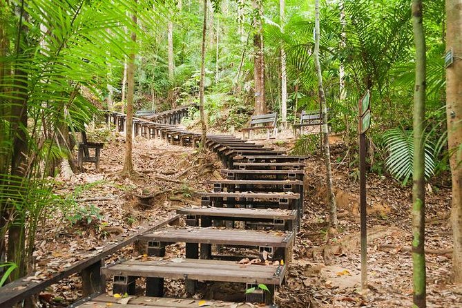 Taman Negara Day Tour with Canopy Walk - Why this day trip is worth the long ride