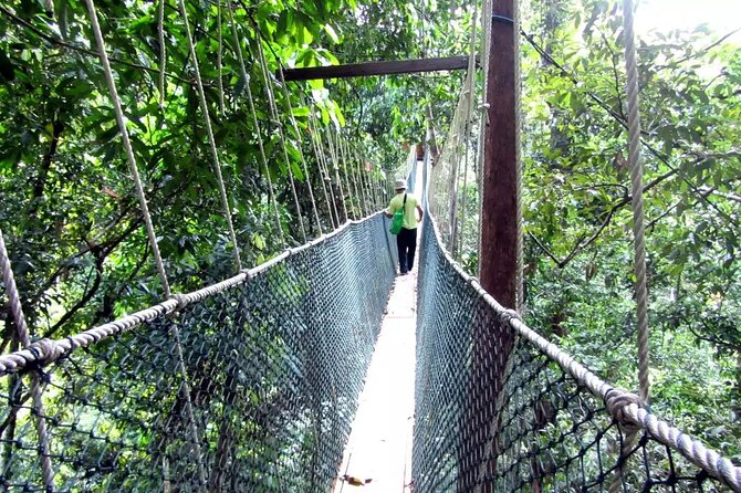 Taman Negara Day Tour with Canopy Walk - Leaving Kuala Lumpur at 5:30 a.m.