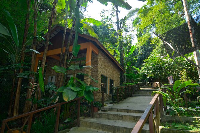 Taman Negara Day Trip from Kuala Lumpur with Lunch - Key points at a glance