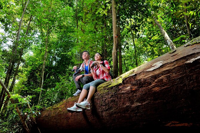 Taman Negara Day Trip from Kuala Lumpur with Lunch - Practical details before you commit